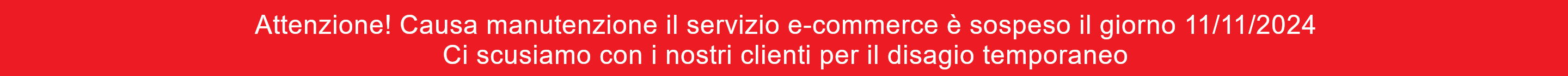 Il servizio ecommerce sarà sospeso temporaneamente in data 11-11-2024